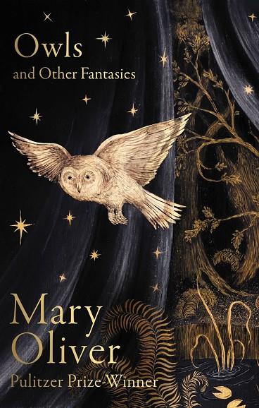 OWLS AND OTHER FANTASIES | 9781472160935 | OLIVER, MARY