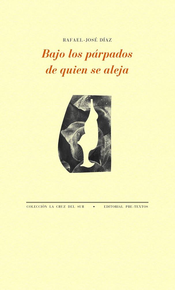 BAJO LOS PÁRPADOS DE QUIEN SE ALEJA | 9788418178672 | DIAZ, RAFAEL JOSE