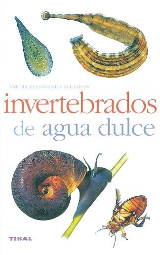 INVERTEBRADOS DE AGUA DULCE | 9788430553938 | VARIOS AUTORES