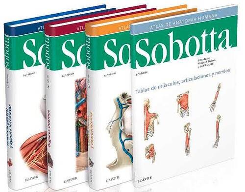 SOBOTTA. ATLAS DE ANATOMIA HUMANA 3 VOLS (24ª ED ESTUCHE) | 9788491133933 | PAULSEN, F. / WASCHKE, J.