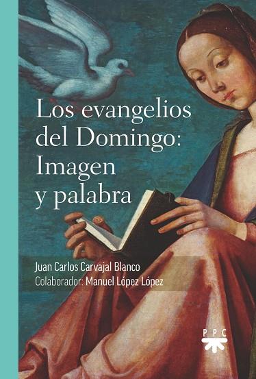 EVANGELIOS DEL DOMINGO, LOS : IMAGEN Y PALABRA | 9788428840910 | CARVAJAL BLANCO, JUAN CARLOS