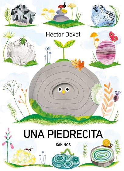 PIEDRECITA, UNA | 9791387686406 | DEXET, HECTOR