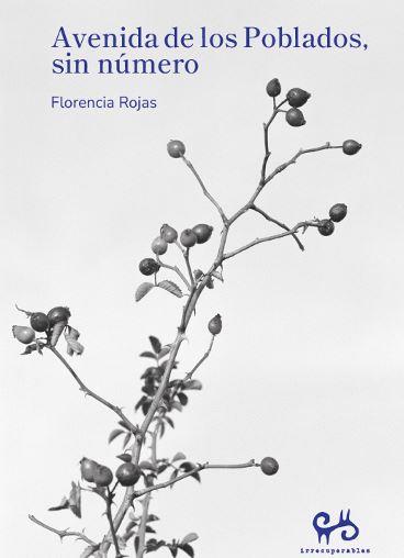 AVENIDA DE LOS POBLADOS SIN NÚMERO | 9788485209859 | ROJAS, FLORENCIA