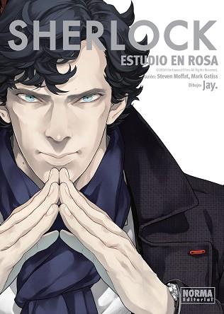 SHERLOCK : ESTUDIO EN ROSA | 9788467926583 | JAY / MOFFAT / GATISS
