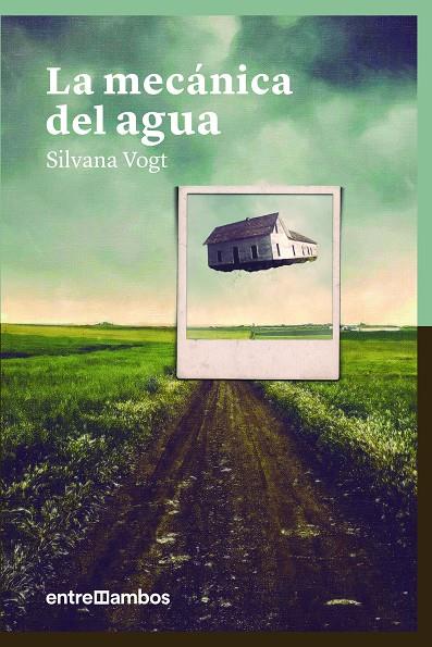 MECÁNICA DEL AGUA, LA | 9788416379149 | VOGT, SILVANA