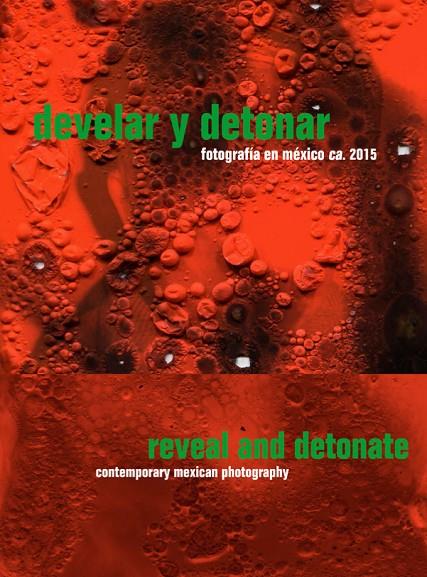 DEVELAR Y DETONAR | 9788416282111 | SCHMELZ, ITALA