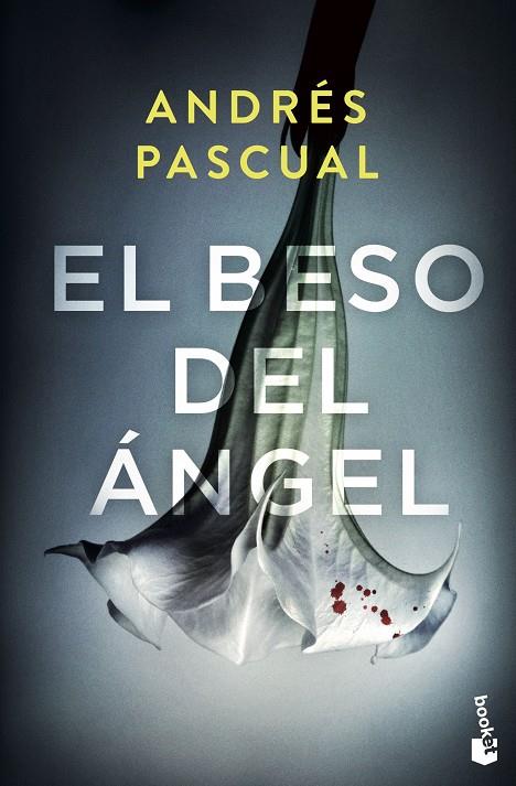 BESO DEL ÁNGEL, EL | 9788467062755 | PASCUAL, ANDRÉS