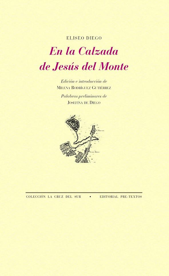 EN LA CALZADA DE JESÚS DEL MONTE | 9788417830861 | DIEGO, ELISEO