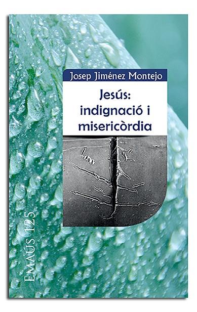 JESÚS : INDIGNACIÓ I MISERICÒRDIA | 9788498058574 | JIMÉNEZ MONTEJO, JOSEP