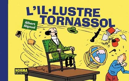 IL·LUSTRE TORNASSOL, L' | 9788484313274 | ALGOUD, ALBERT