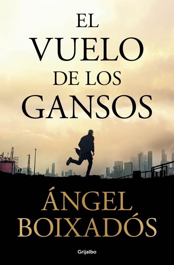VUELO DE LOS GANSOS, EL | 9788425375040 | BOIXADÓS, ÁNGEL