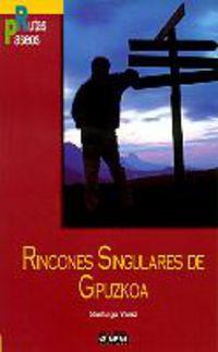 RINCONES SINGULARES DE GIPUZCOA | 9788482161020 | YANIZ ARAMENDIA, SANTIAGO