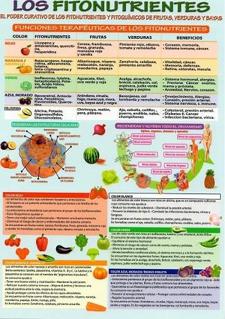 LÁMINAS DIDÁCTICAS - LOS FITONUTRIENTES | 8436005169640