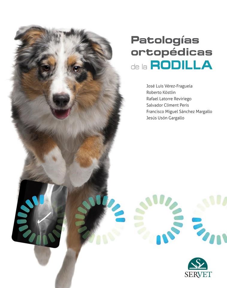 PATOLOGIAS ORTOPEDICAS DE LA RODILLA | 9788416818266 | VEREZ-FRAGUELA, JOSE LUIS / LATORRE REVIRI