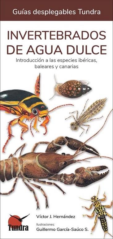 INVERTEBRADOS DE AGUA DULCE | 9788418458484