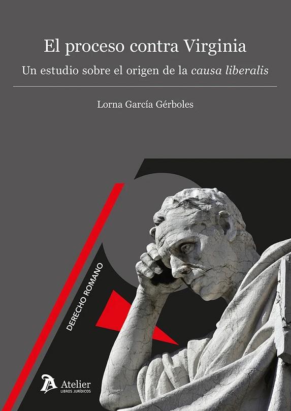 PROCESO CONTRA VIRGINIA, EL | 9788410174399 | GARCIA GERBOLES, LORNA