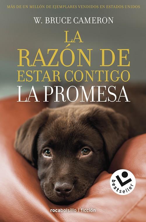 RAZÓN DE ESTAR CONTIGO, LA. LA PROMESA | 9788417821432 | CAMERON, W. BRUCE