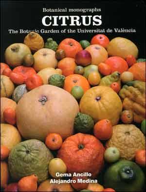 CITRUS | 9788437096322 | ANCILLO ANTÓN, GEMA