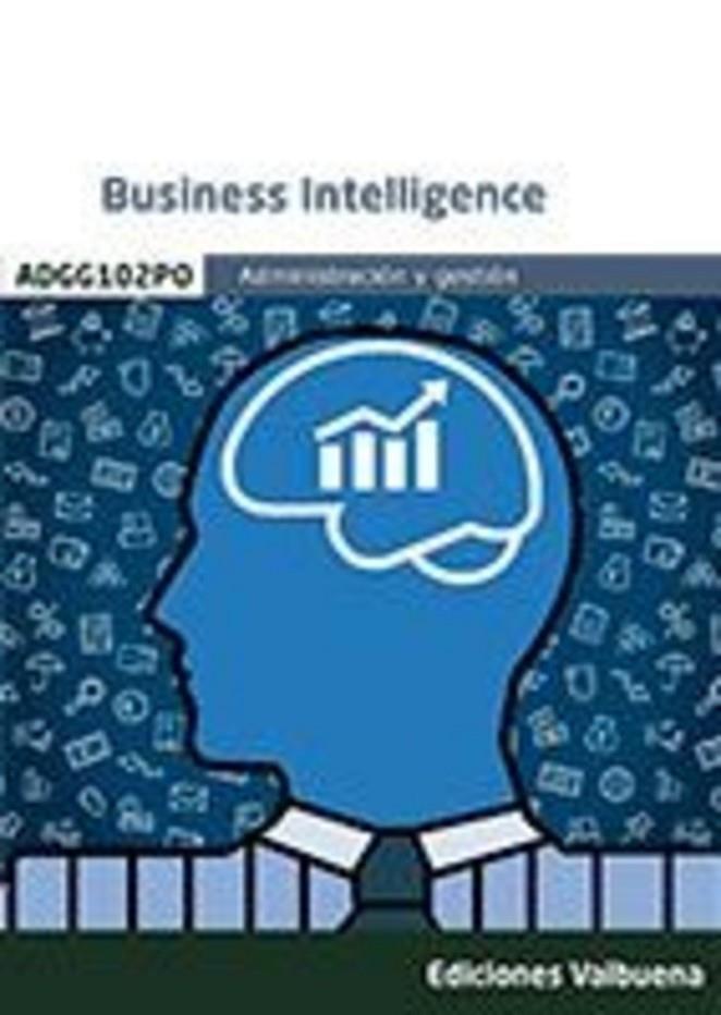 BUSSINES INTELIGENCE | 9788413272092 | VARIOS AUTORES
