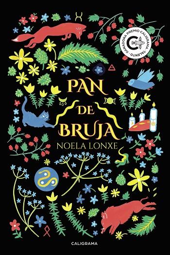 PAN DE BRUJA | 9788417813437 | LONXE, NOELA
