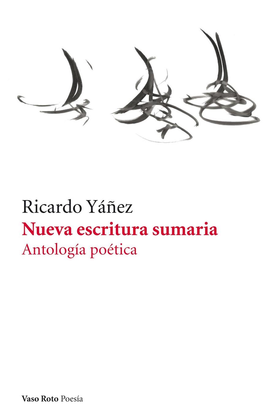 NUEVA ESCRITURA SUMARIA | 9788415168041 | YAÑEZ, RICARDO