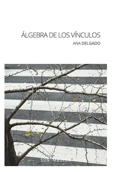 ÁLGEBRA DE LOS VÍNCULOS | 9788412204018 | DELGADO, ANA