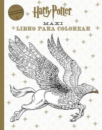 HARRY POTTER. MAXI LIBRO PARA COLOREAR | 9788868219512 | VARIOS AUTORES