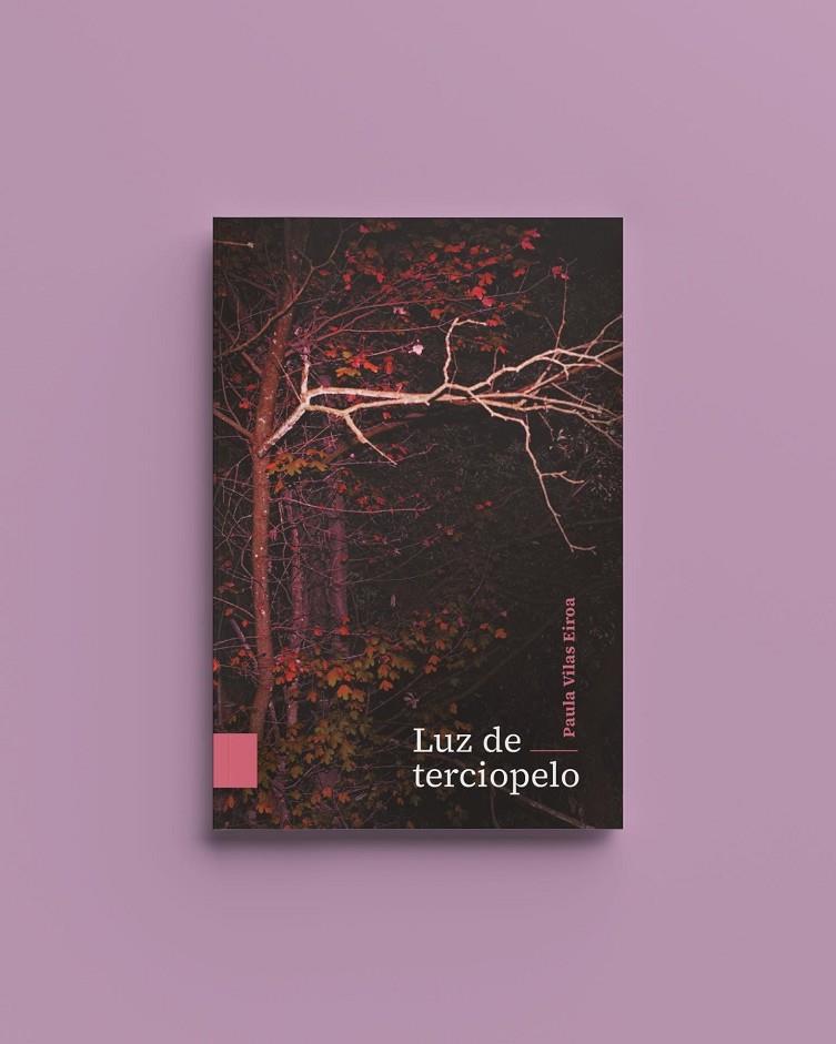 LUZ DE TERCIOPELO | 9788412775853 | VILAS EIROA, PAULA