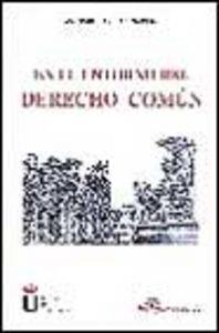 EN EL ENTORNO DEL DERECHO COMÚN. | 9788481554922 | GARCÍA Y GARCÍA, A.