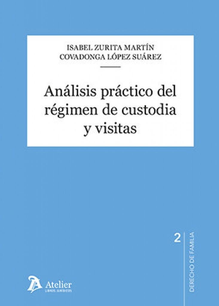 ANÁLISIS PRÁCTICO DEL RÉGIMEN DE CUSTODIA Y VISITAS | 9791387543853