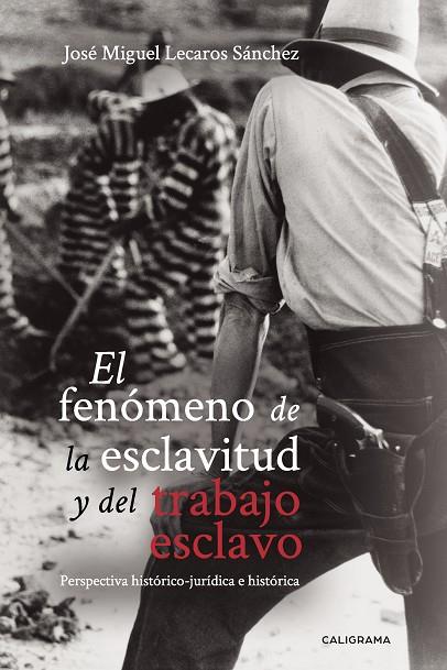 FENÓMENO DE LA ESCLAVITUD Y DEL TRABAJO ESCLAVO, EL | 9788417947217 | LECAROS SÁNCHEZ, JOSÉ MIGUEL