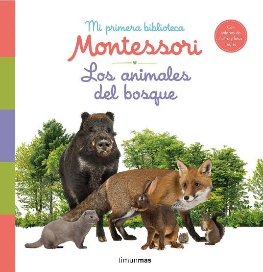 ANIMALES DEL BOSQUE, LOS. MI PRIMERA BIBLIOTECA MONTESSORI | 9788408244608 | AA. VV.