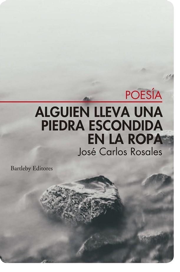 ALGUIEN LLEVA UNA PIEDRA ESCONDIDA EN LA ROPA | 9788412731422 | ROSALES, JOSE CARLOS