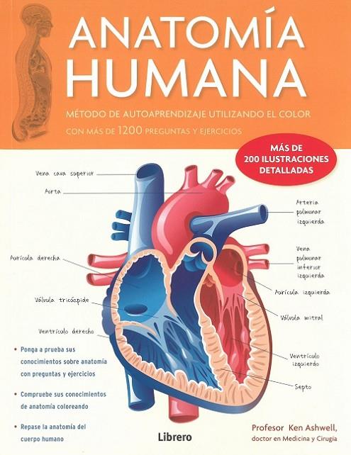 ANATOMIA HUMANA (CORAZÓN V1) | 9789089989949 | ASHWELL, KEN