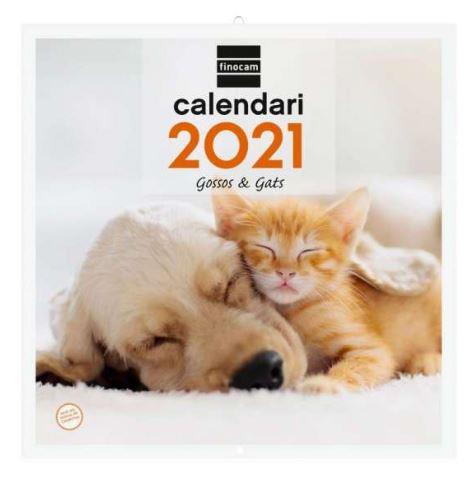 CALENDARI ANUAL PARET30X30 2021 GOSSOSGATS CAT+ | 8422952304562