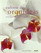 CULTIVO DE ORQUIDEAS PROPAGACION Y VARIEDADES | 9788480766005 | BANKS, DAVID P.