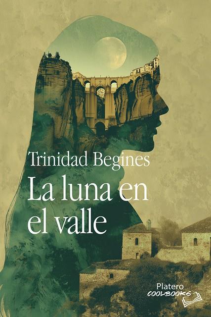 LUNA EN EL VALLE, LA | 9791387720490 | BEGINES GÓMEZ, TRINIDAD