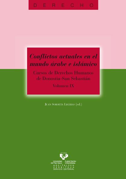 CONFLICTOS ACTUALES EN EL MUNDO ÁRABE E ISLÁMICO. CURSOS DE DERECHOS HUMANOS DE DONOSTIA - SAN SEBASTIÁN. VOL. IX | 9788498601848