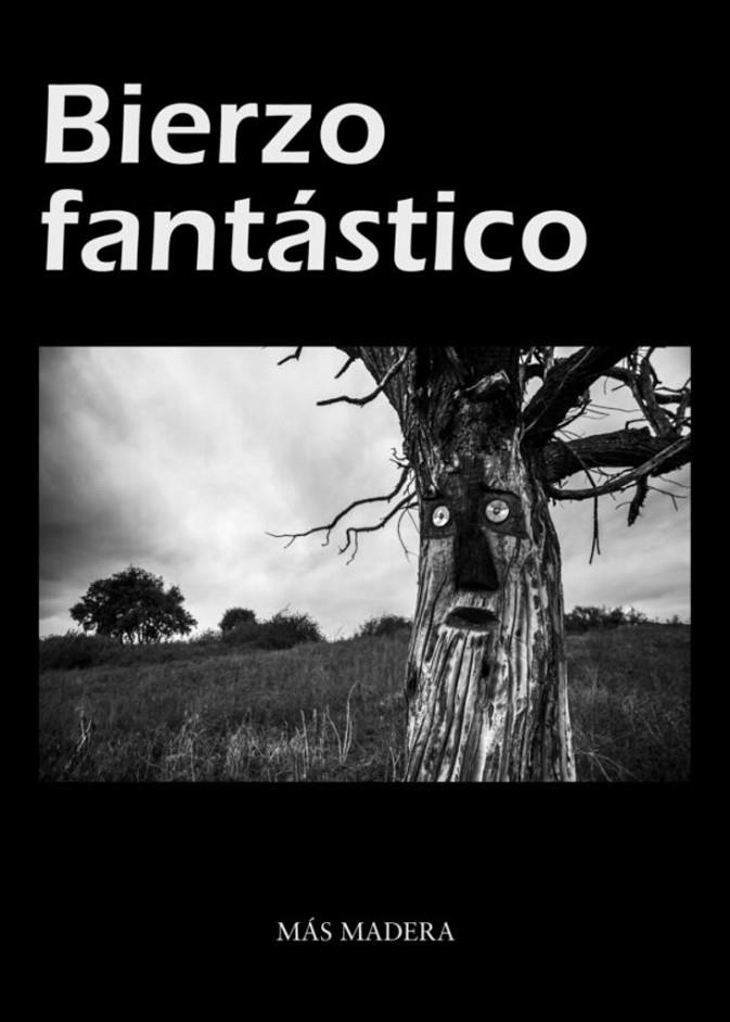 BIERZO FANTÁSTICO | 9788412512687