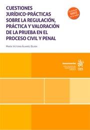 CUESTIONES JURÍDICO-PRÁCTICAS SOBRE LA REGULACIÓN, PRÁCTICA Y VALORACIÓN DE LA PRUEBA EN EL PROCESO CIVIL Y PENAL | 9788411974240 | ÁLVAREZ BUJÁN, MARÍA VICTORIA