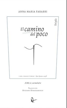 CAMINO DEL POCO, EL | 9788410248731 | FARABBI, ANNA MARIA