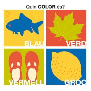 QUIN COLOR ÉS? | 9788424636609 | EDWARDS, HERMIONE