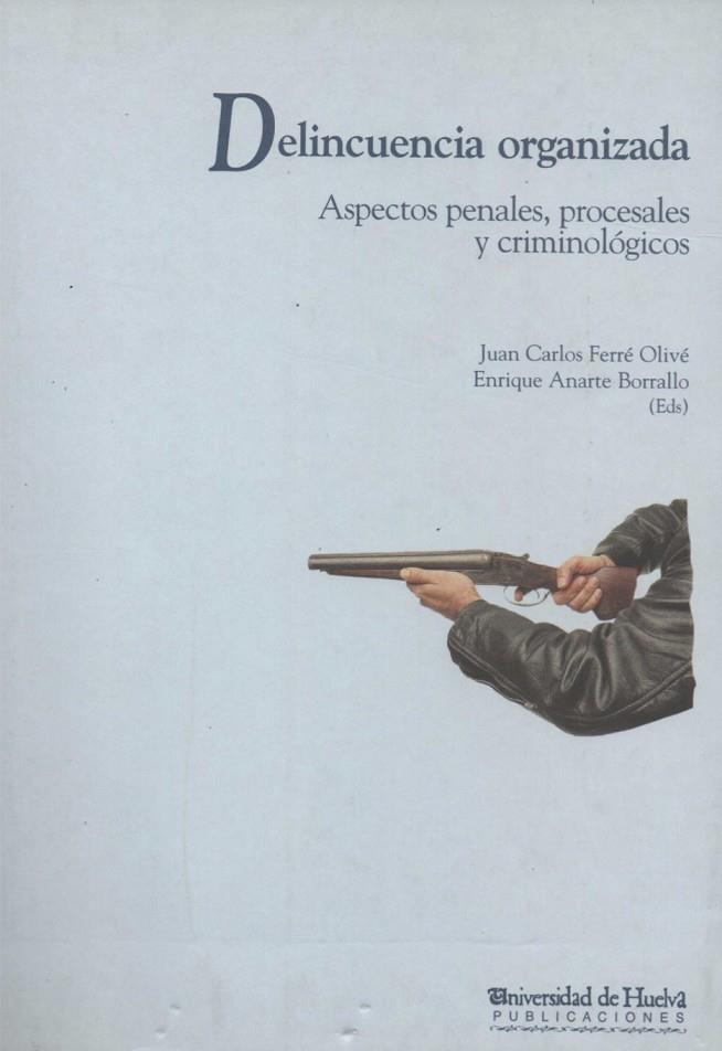 DELINCUENCIA ORGANIZADA | 9788495089311 | ANARTE BORRALLO, ENRIQUE / FERRÉ OLIVÉ, JUAN CARLOS