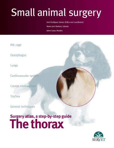 THORAX, SMALL ANIMAL SURGERY, THE | 9788492569991 | RODRIGUEZ GOMEZ, JOSE