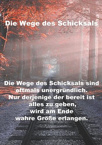 WEGE DES SCHICKSALS | 9783750408272 | NOST, SARA