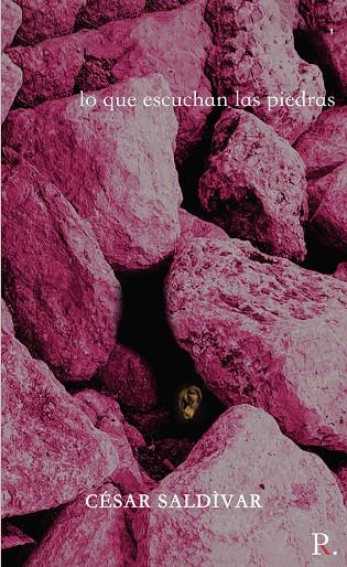 LO QUE ESCUCHAN LAS PIEDRAS | 9788418829154 | SALDÍVAR, CÉSAR