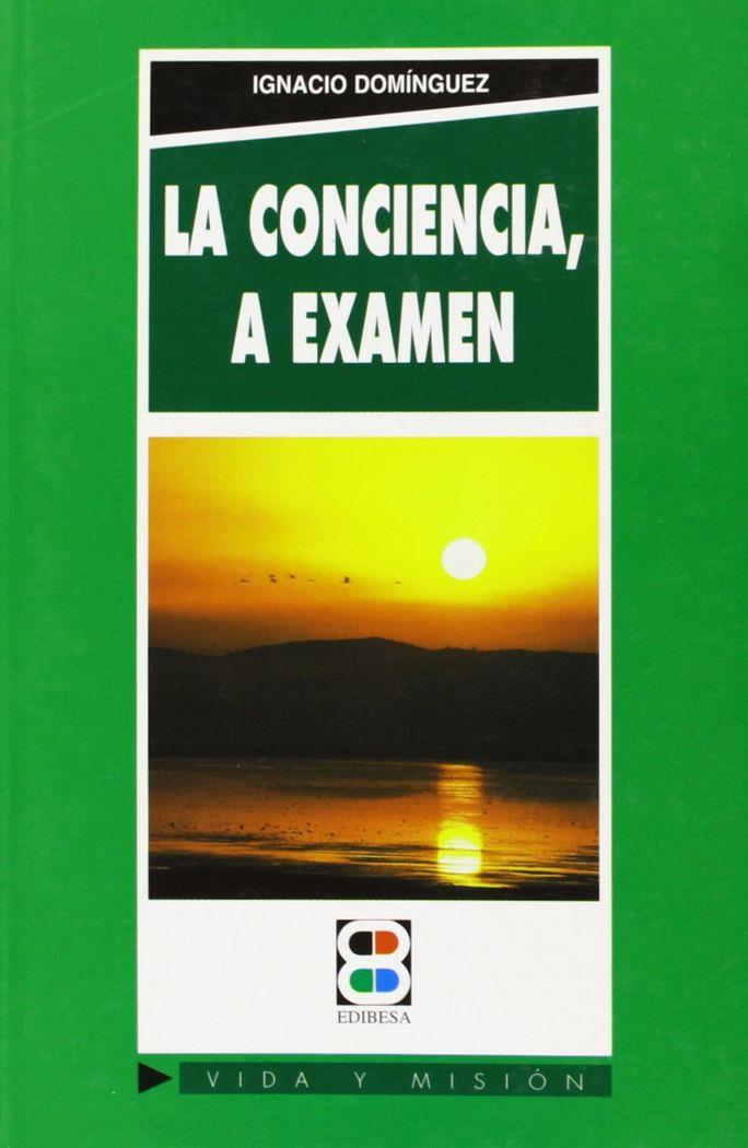 CONCIENCIA, A EXAMEN, LA | 9788484073598 | D'AMATO, ALFONSO