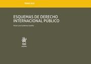ESQUEMAS DE DERECHO INTERNACIONAL PÚBLICO TOMO XLVI | 9788491906933 | GUTIÉRREZ CASTILLO, VÍCTOR LUIS