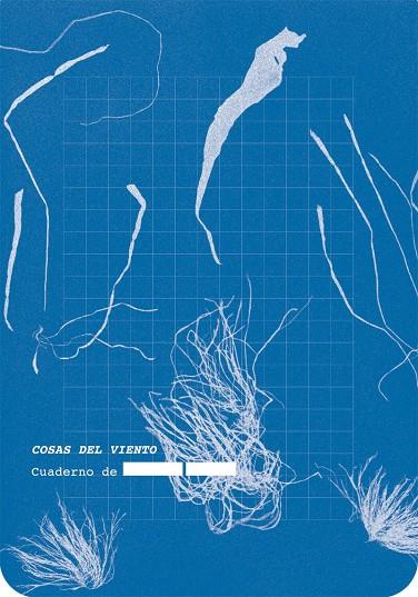 COSAS DEL VIENTO | 9788418690761 | ANÓNIMO