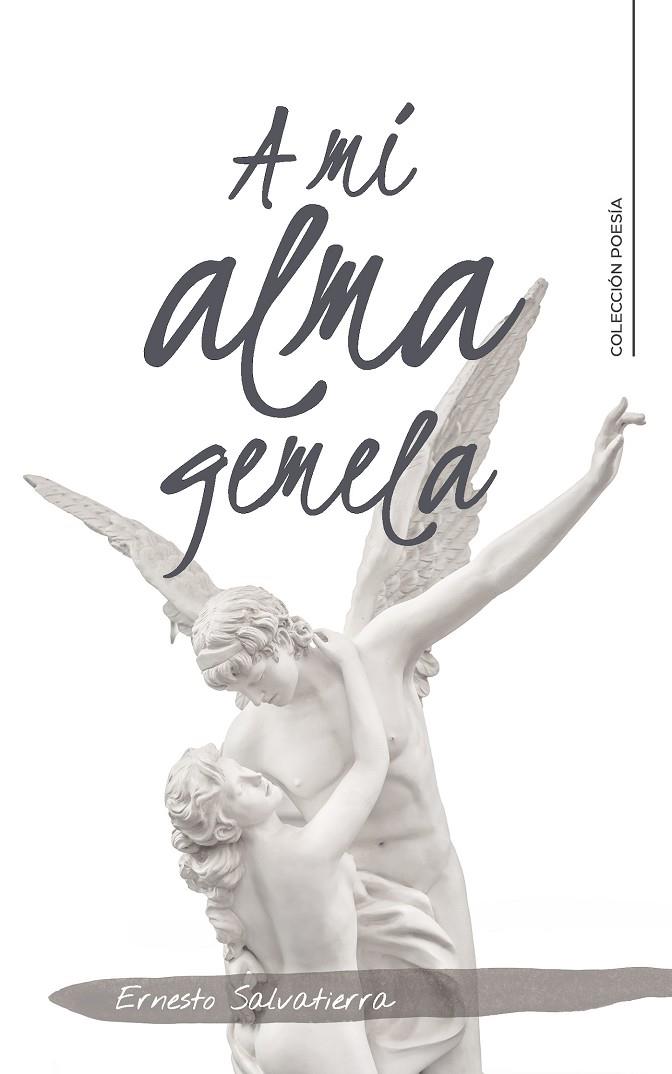 A MI ALMA GEMELA | 9788417533205 | SALVATIERRA, ERNESTO